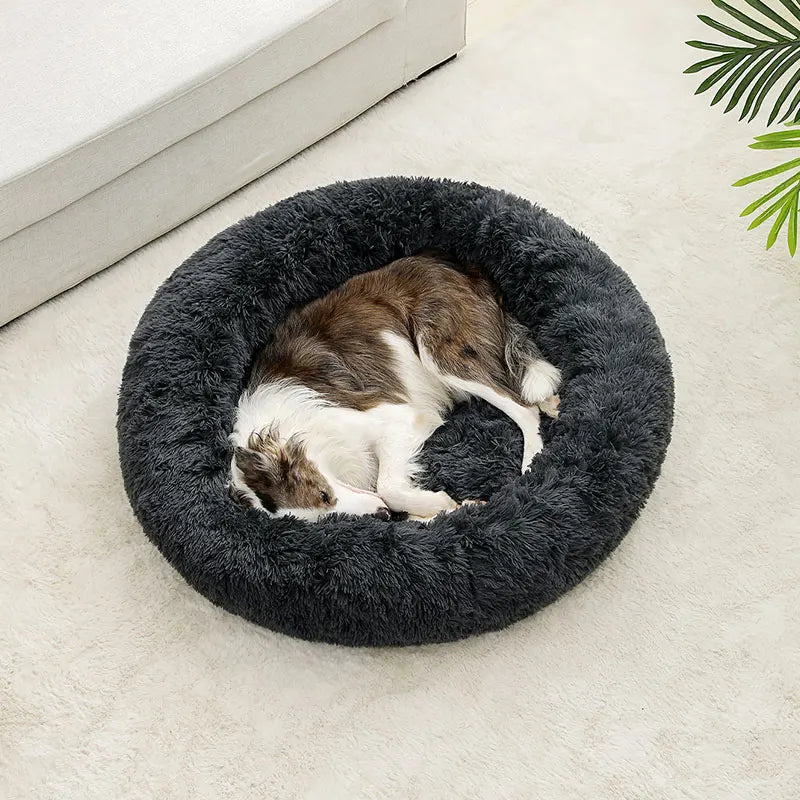Round Dog Bed & Cat House