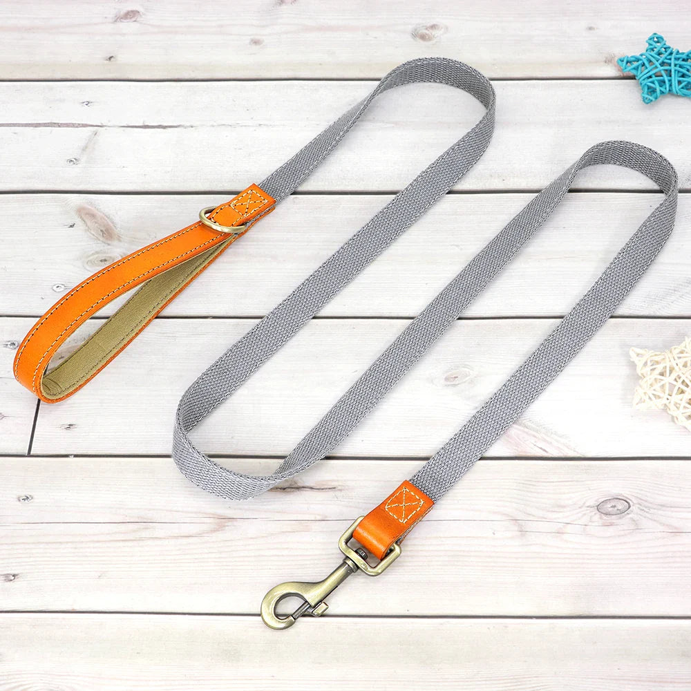 Custom Nylon Dog Collar & Leash