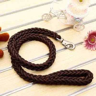 Heavy-Duty Nylon Dog Leash
