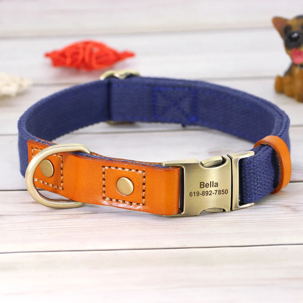Custom Nylon Dog Collar & Leash