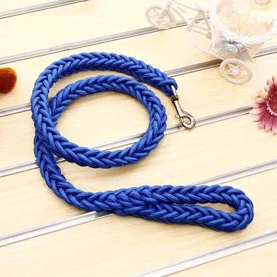 Heavy-Duty Nylon Dog Leash