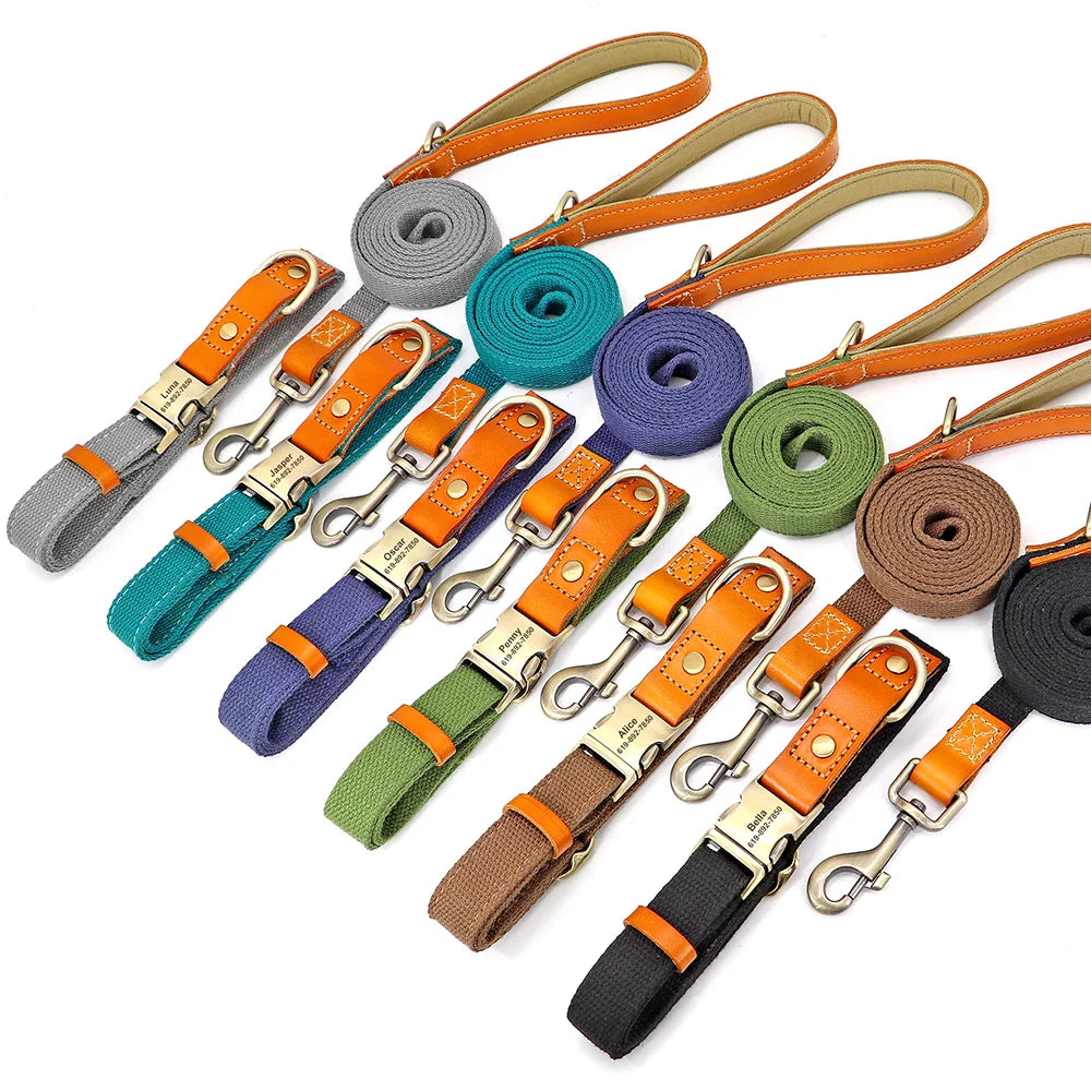 Custom Nylon Dog Collar & Leash