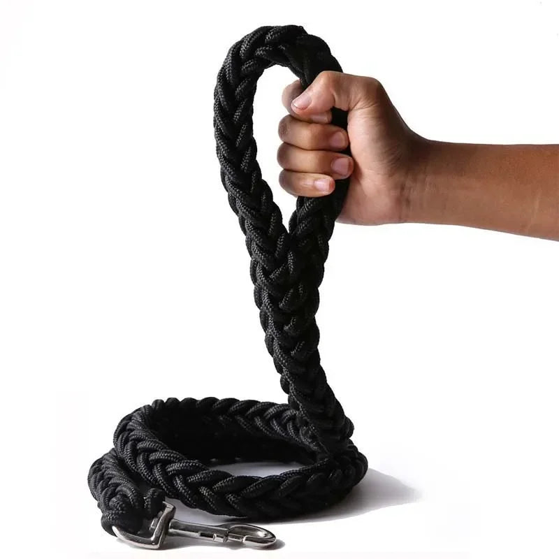 Heavy-Duty Nylon Dog Leash