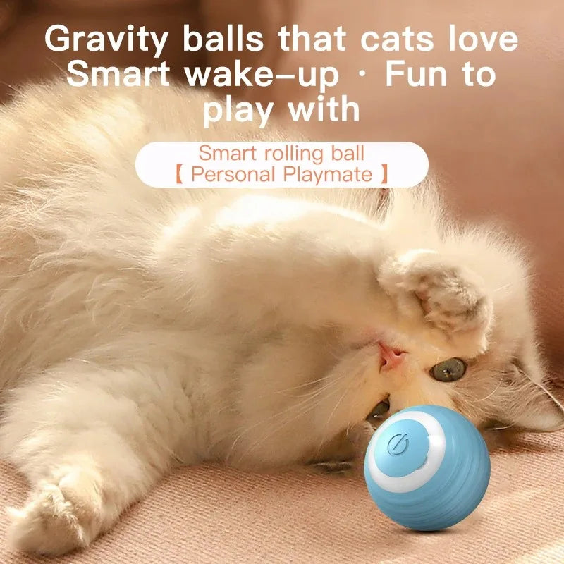Self-Moving Cat Ball Toy