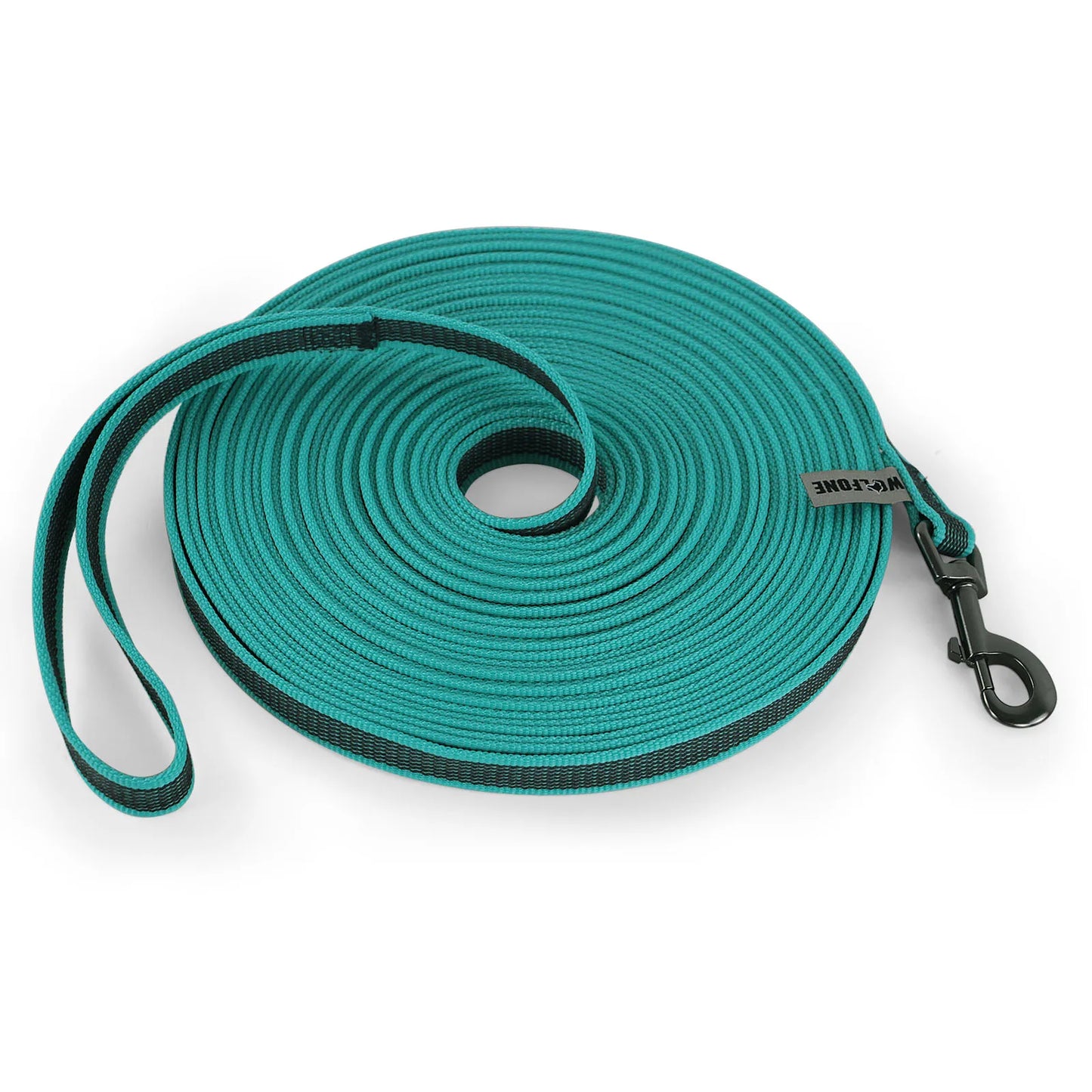 Long Dog Leash for Training