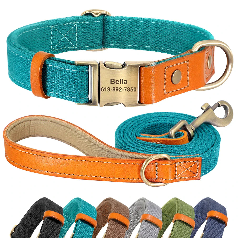 Custom Nylon Dog Collar & Leash