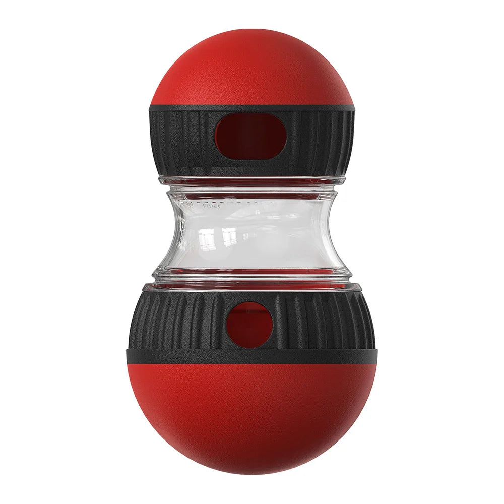 Interactive Dog IQ Toy Ball