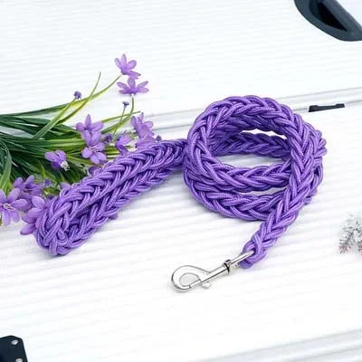 Heavy-Duty Nylon Dog Leash
