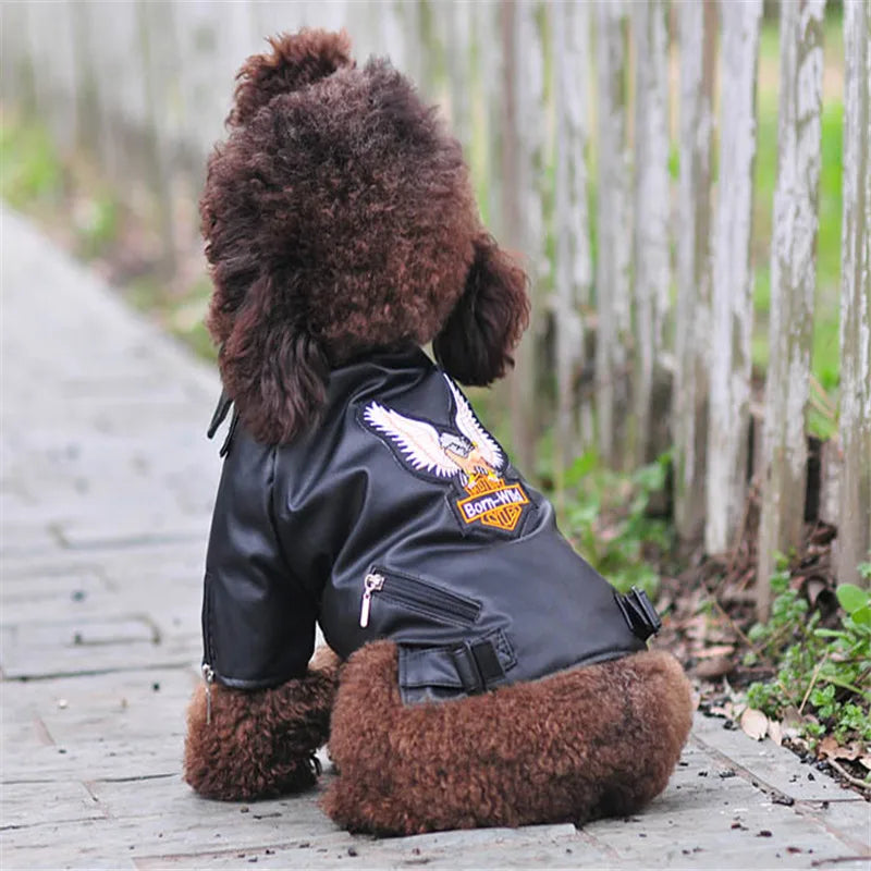 Eagle Pattern Dog Leather Jacket