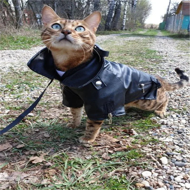 Eagle Pattern Dog Leather Jacket