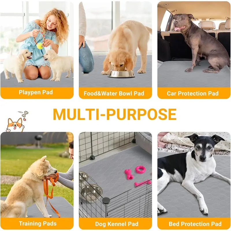 Dog Pee Pad & Training Mat