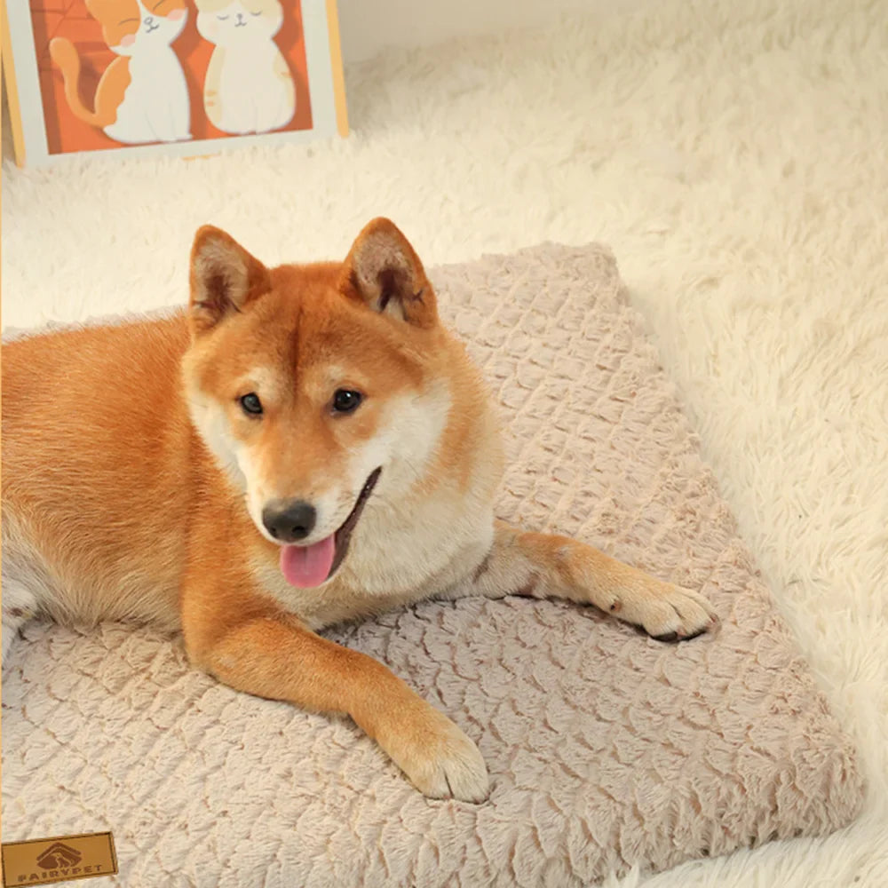 Memory Foam Dog Bed