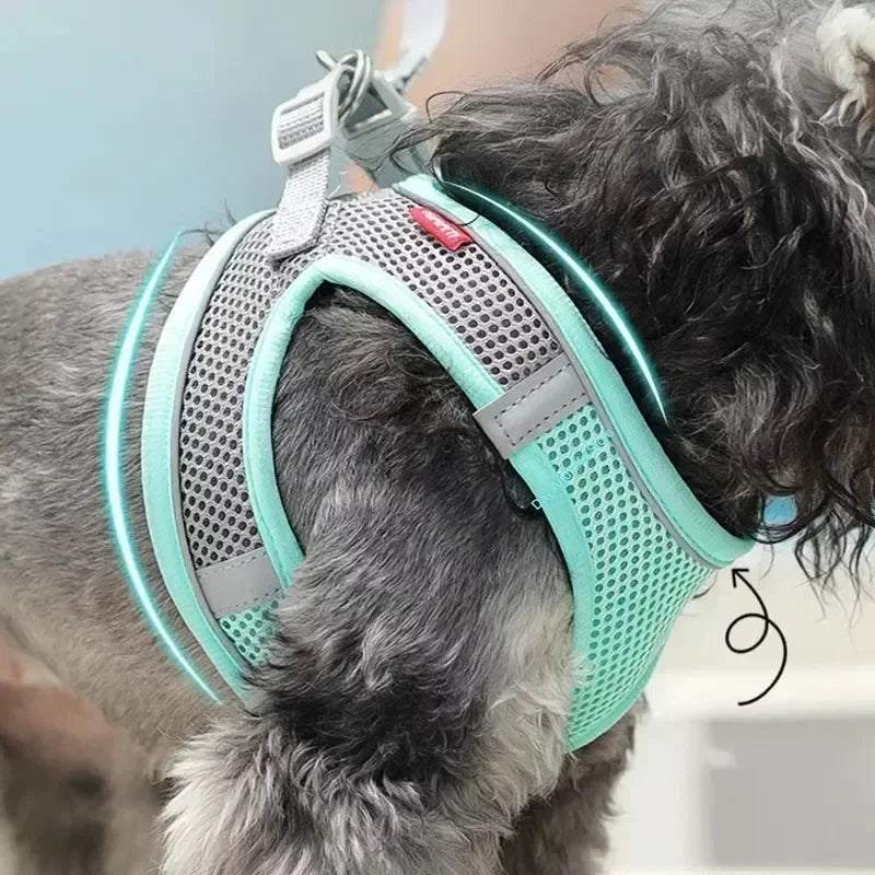 Dog Harness Set