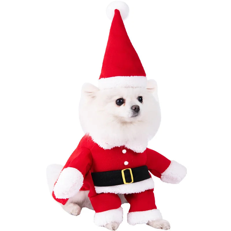 Dagger Pet Costume cat and dog