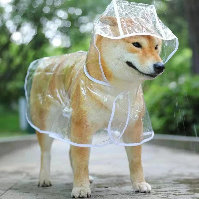 Transparent Hooded Dog Raincoat