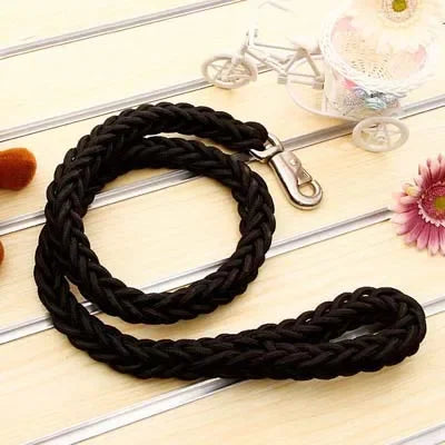 Heavy-Duty Nylon Dog Leash