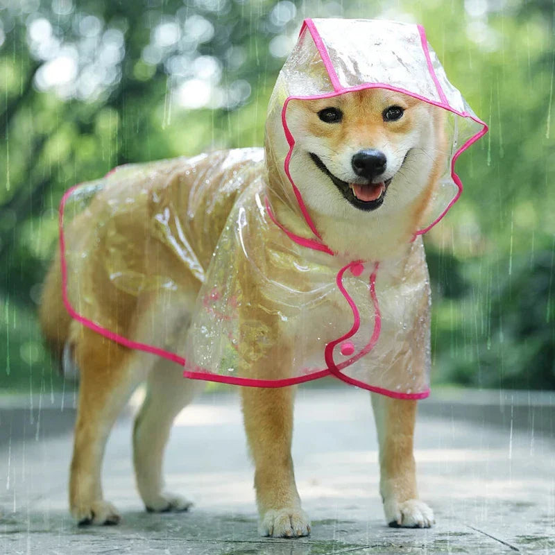 Transparent Hooded Dog Raincoat