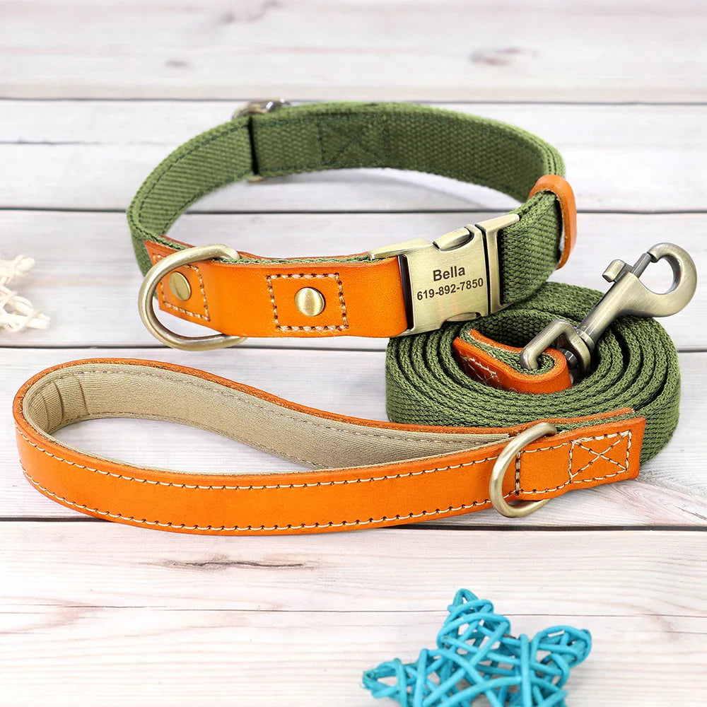 Custom Nylon Dog Collar & Leash