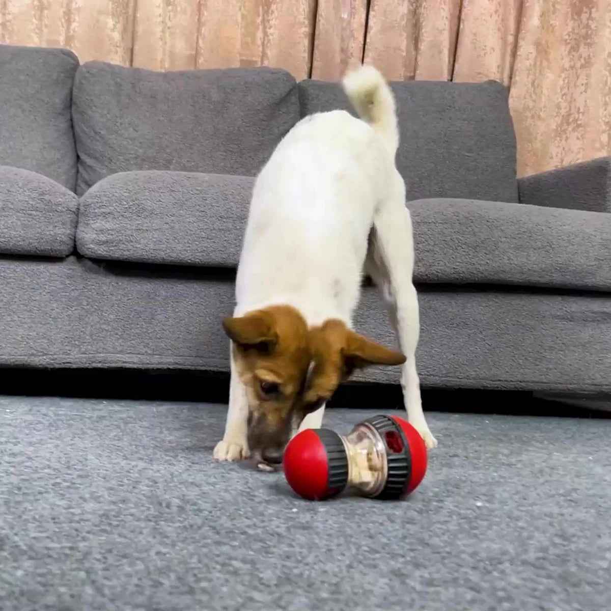 Interactive Dog IQ Toy Ball