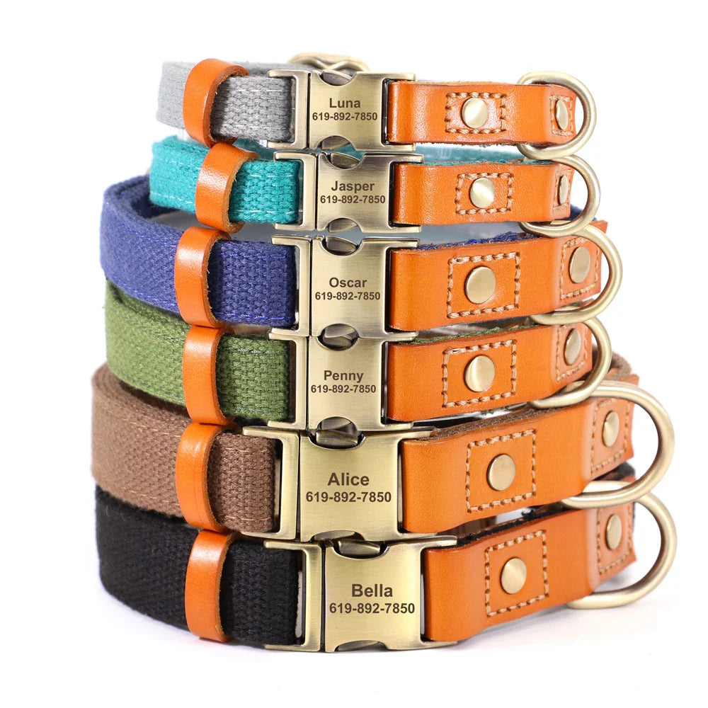 Custom Nylon Dog Collar & Leash