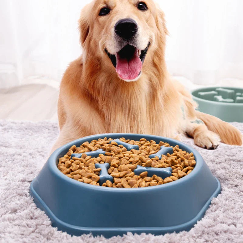 Anti-Choking Dog Slow Feeder Bowl