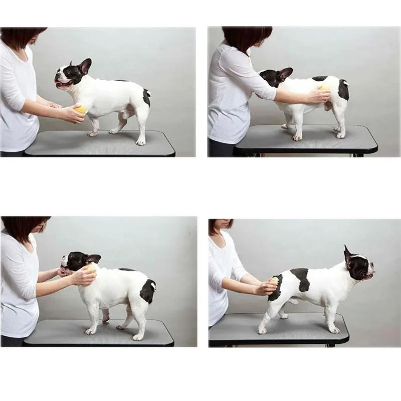 Pet Massage Brush for Dogs & Cats