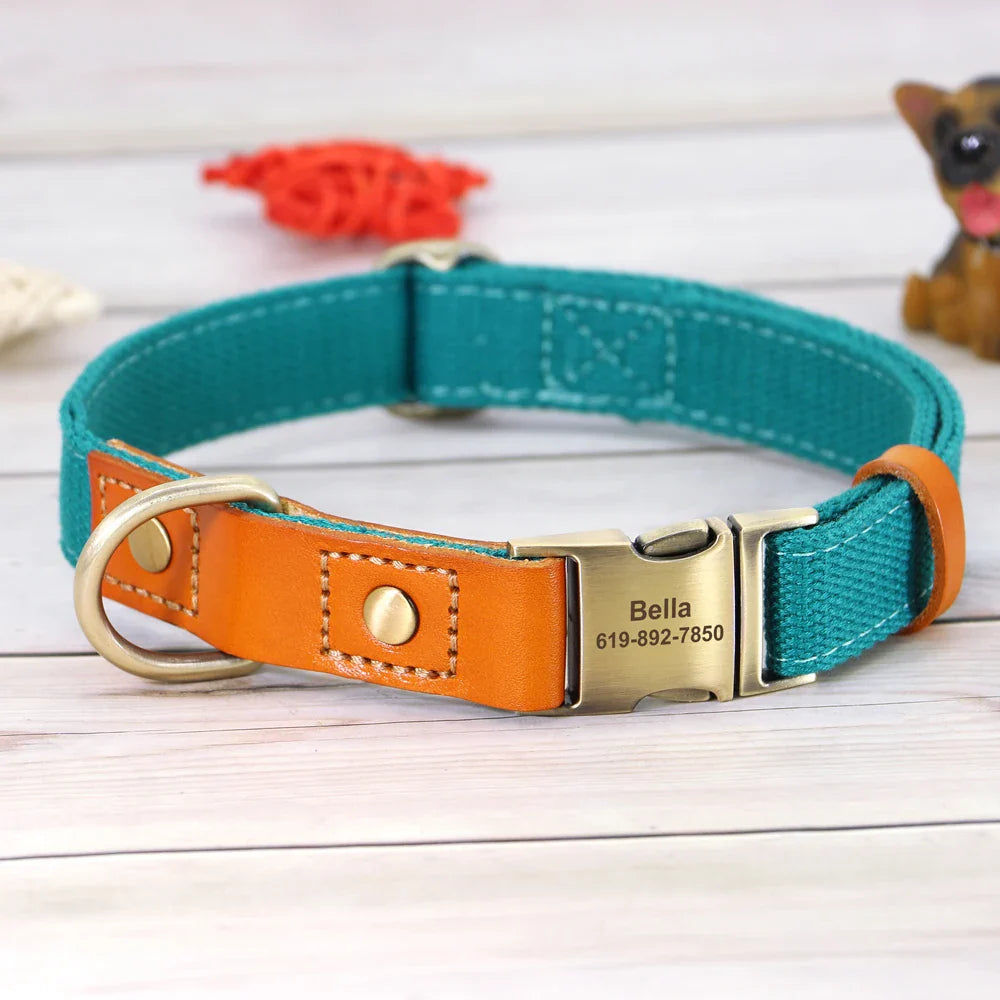 Custom Nylon Dog Collar & Leash