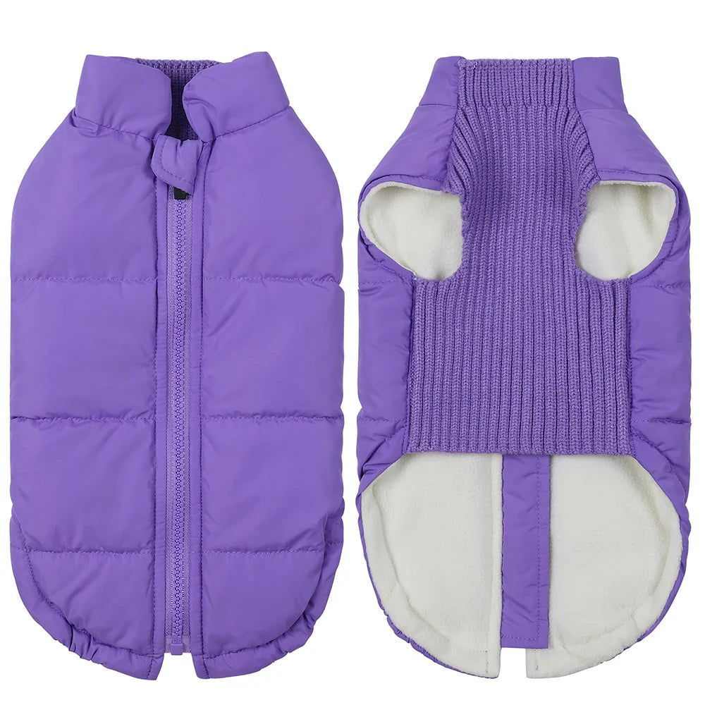 Winter Dog Jacket