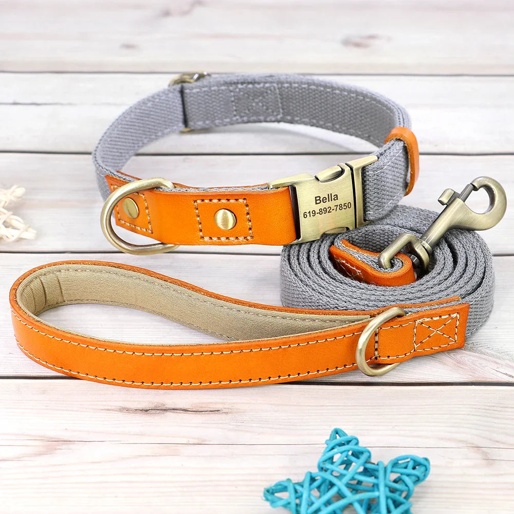Custom Nylon Dog Collar & Leash