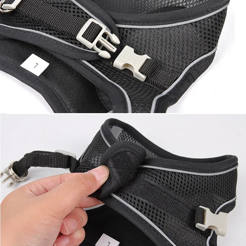 Dog Harness Set