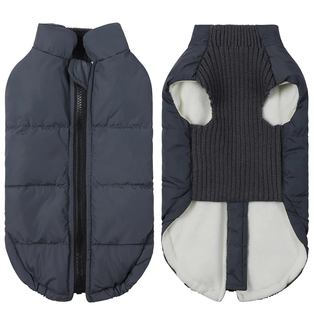 Winter Dog Jacket