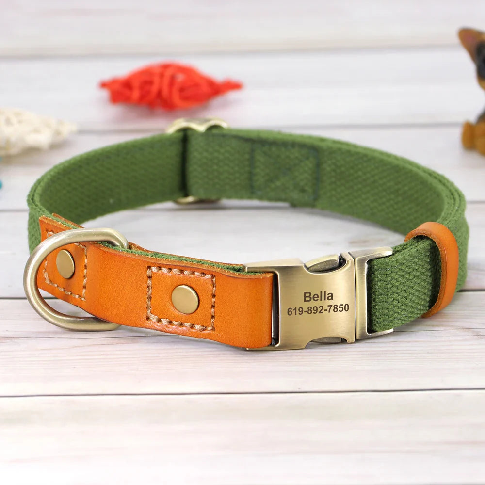 Custom Nylon Dog Collar & Leash