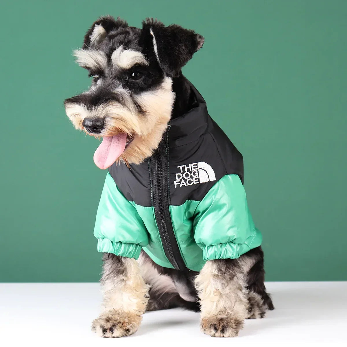Winter Dog Down Jacket Vest