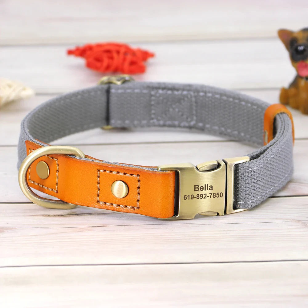 Custom Nylon Dog Collar & Leash