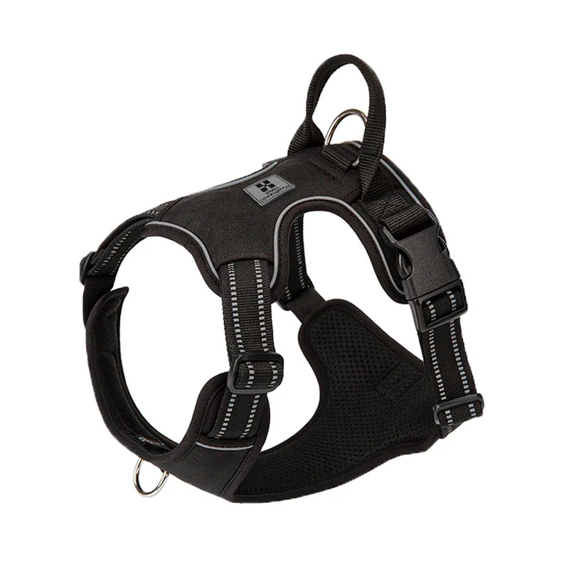 Personalized No-Pull Dog Harness