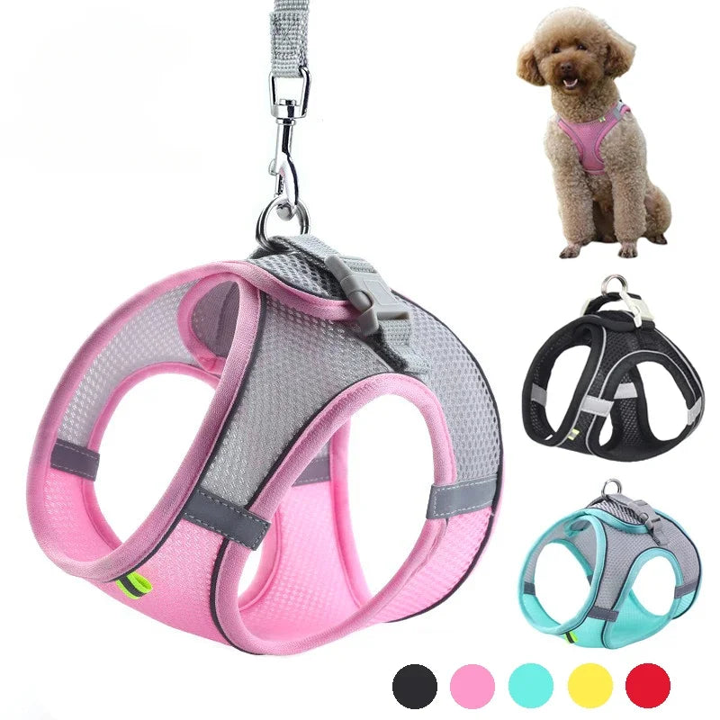 Dog Harness Set