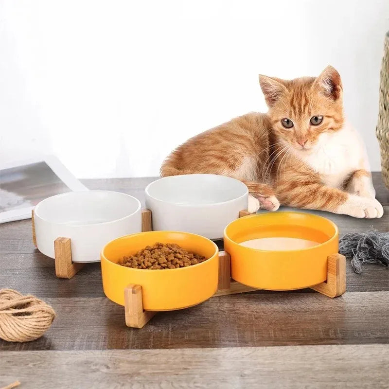 Ceramic Dog Bowl with Wooden Stand