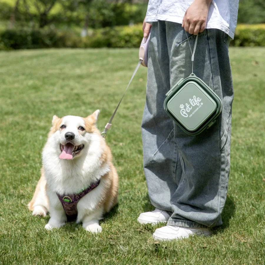 Collapsible Dog Travel Bowl