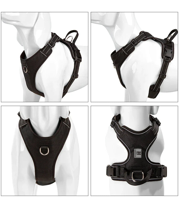 Personalized No-Pull Dog Harness