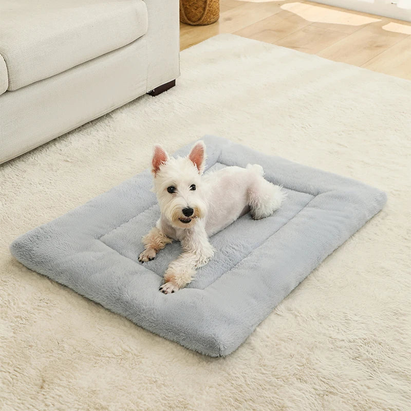 Soft Dog Bed & Pet Basket