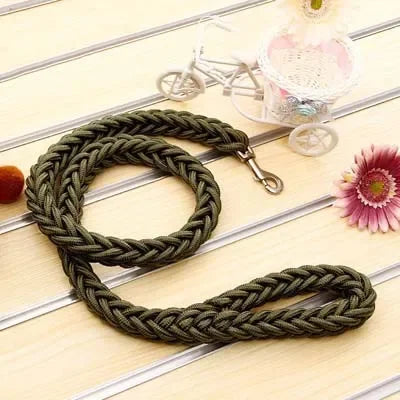 Heavy-Duty Nylon Dog Leash