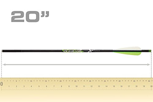 Carbon Express Piledriver Crossbolt 20in. Moon 6pk 52140
