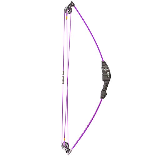 Bear Archery Spark Youth Bow Set, Ambidextrous, Flo Purple