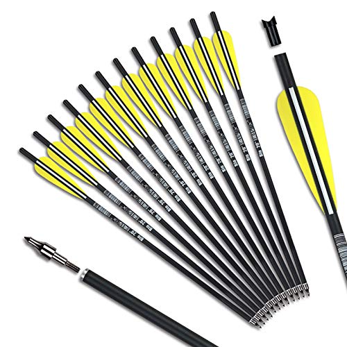REEGOX Crossbow Bolts 16/18/20 inch Bio Crossbow Arrows with Moon Nocks and Removable Tips (Pack of 12) (20"-Yellow)
