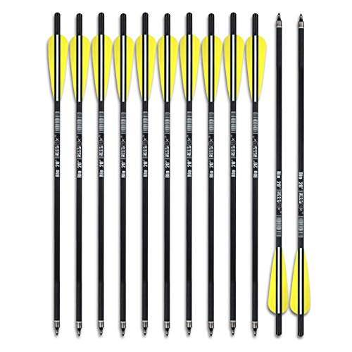 REEGOX Crossbow Bolts 16/18/20 inch Bio Crossbow Arrows with Moon Nocks and Removable Tips (Pack of 12) (20"-Yellow)