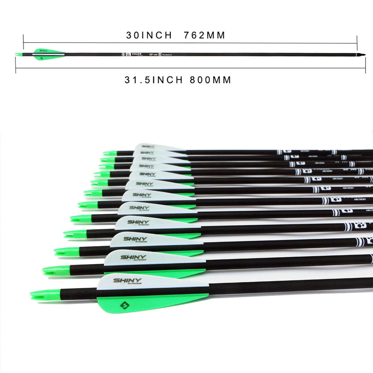 TIGER ARCHERY 30Inch Carbon Arrow Practice Hunting Arrows with Removable Tips for Compound & Recurve Bow(Pack of 12) (Green White)