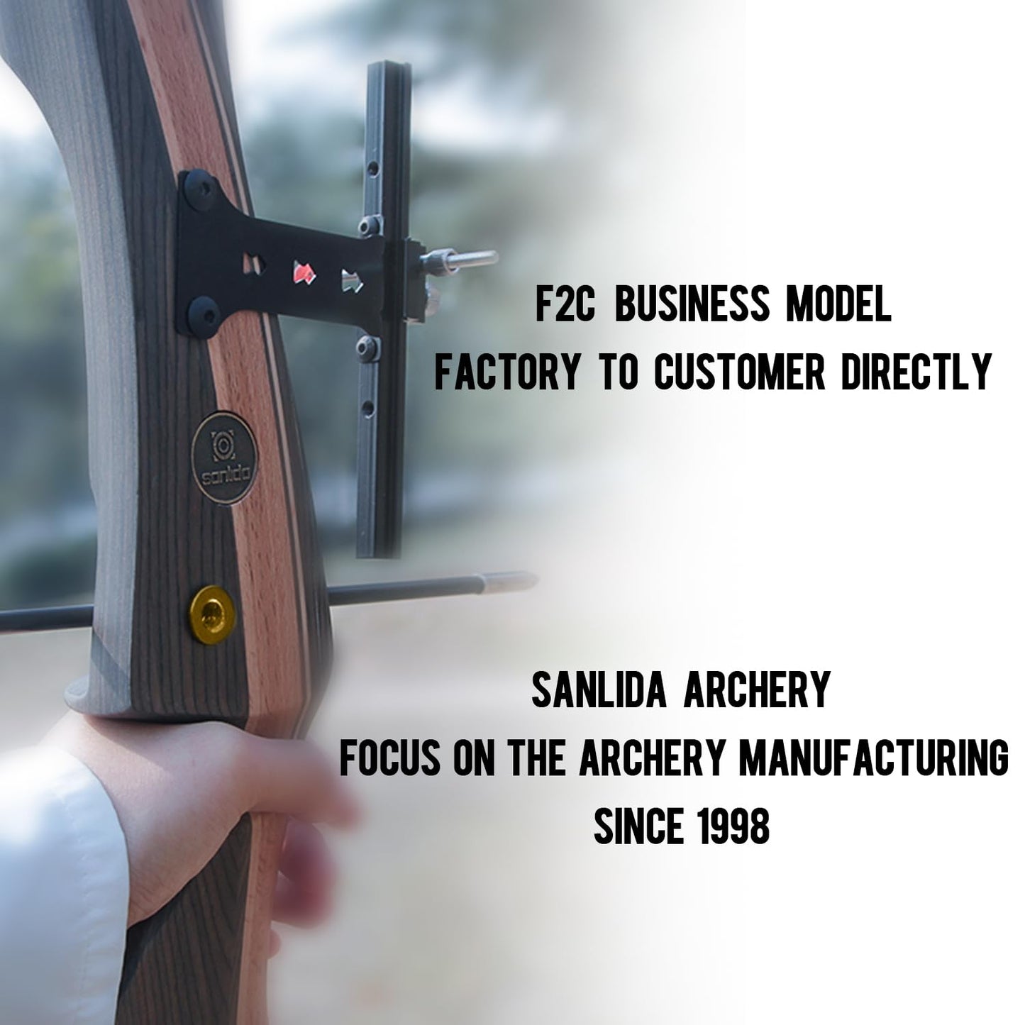 Sanlida Noble Standard Beginner & Intermediate Recurve Bow and Arrows Kit for Adult and Youth, Wooden Takedown Recurve Bow Package for Training, Practice & Competition RH Only (54", 10lbs)