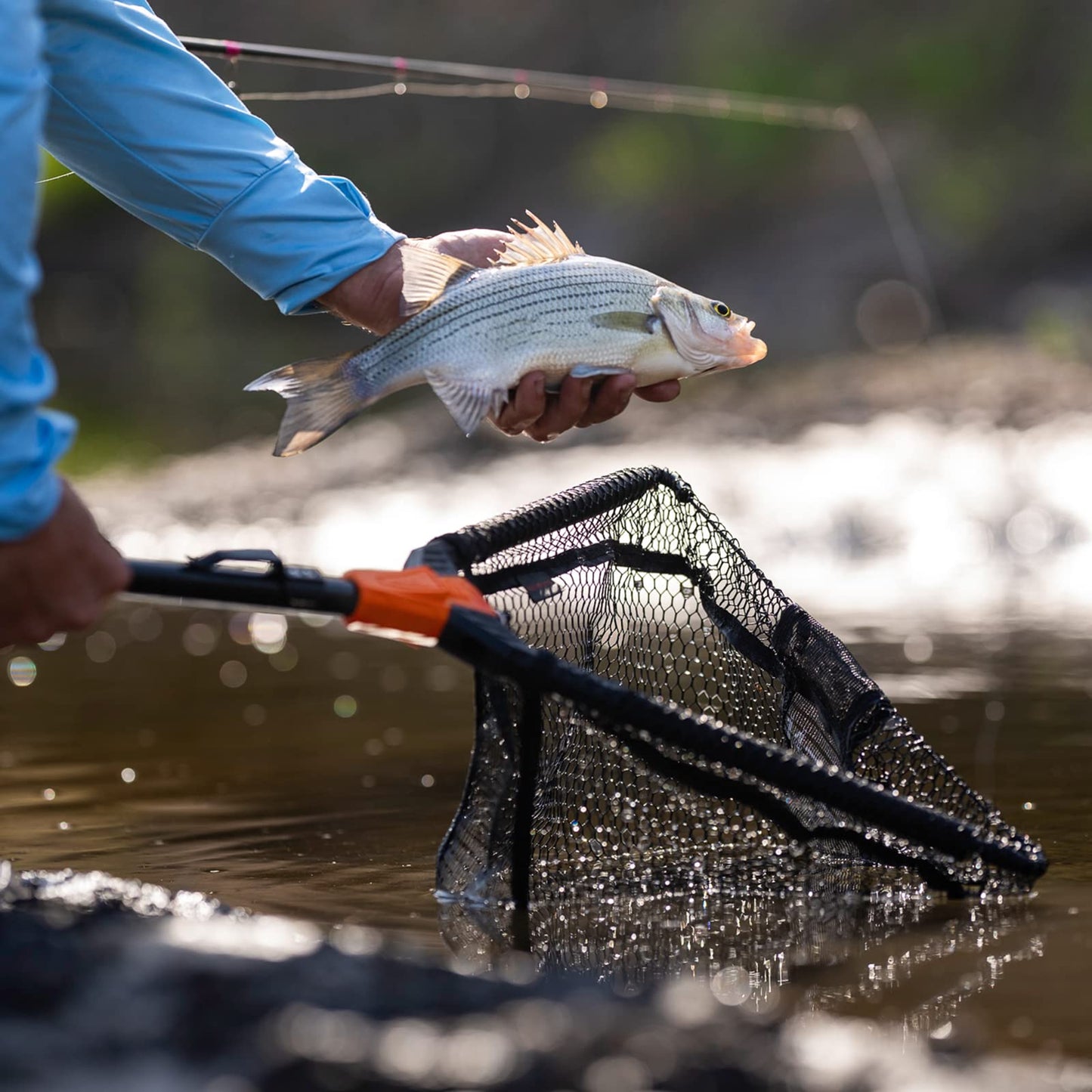 KastKing Pontus Fish Landing Net Combo, Foldable, Extendable, Lightweight & Strong Fish Landing Net with with Built in Length Scale, Fish Lip Gripper and Hook Remover, Fishing Gifts for Men