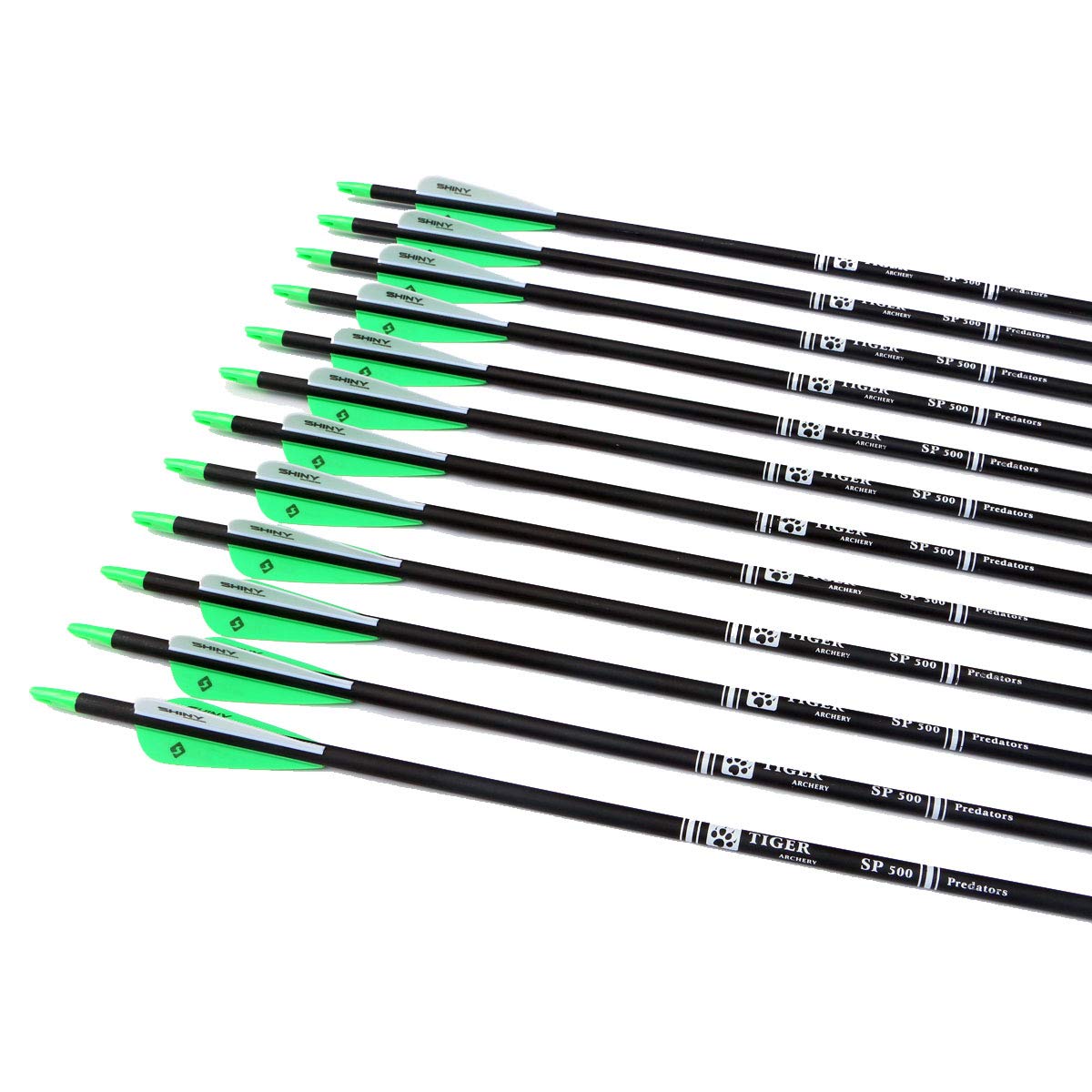 TIGER ARCHERY 30Inch Carbon Arrow Practice Hunting Arrows with Removable Tips for Compound & Recurve Bow(Pack of 12) (Green White)