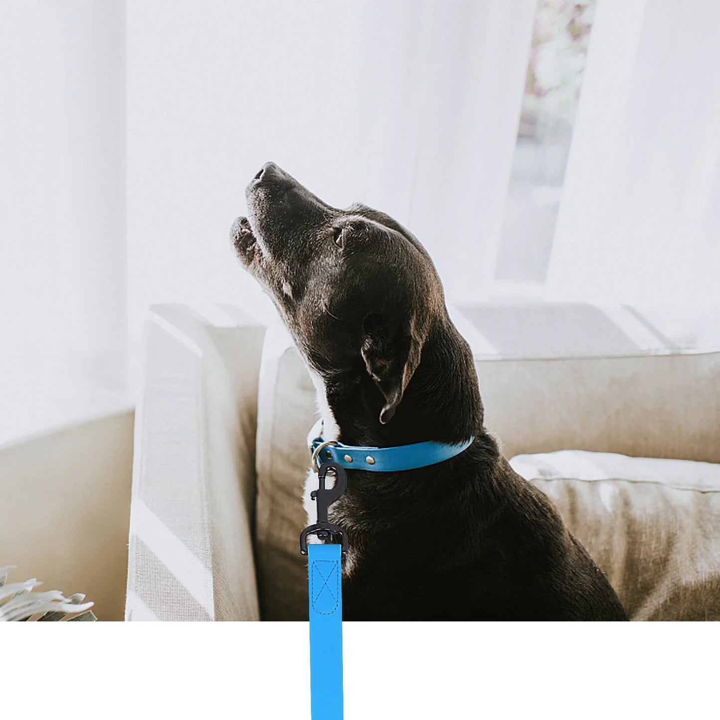 Strong Waterproof PVC Dog Leash